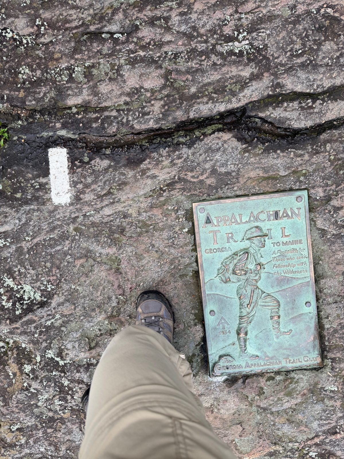 The Appalachian Trail plaque and first white blaze at Springer Mountain, with my foot beside it