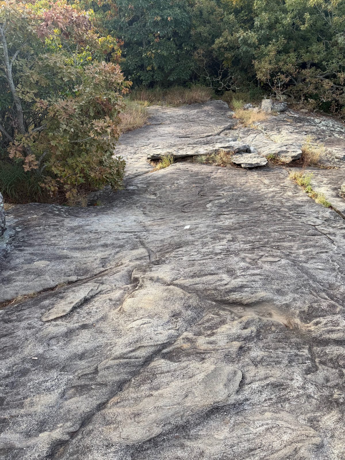 Steep granite slabs on the Blood Mountain downhill trail