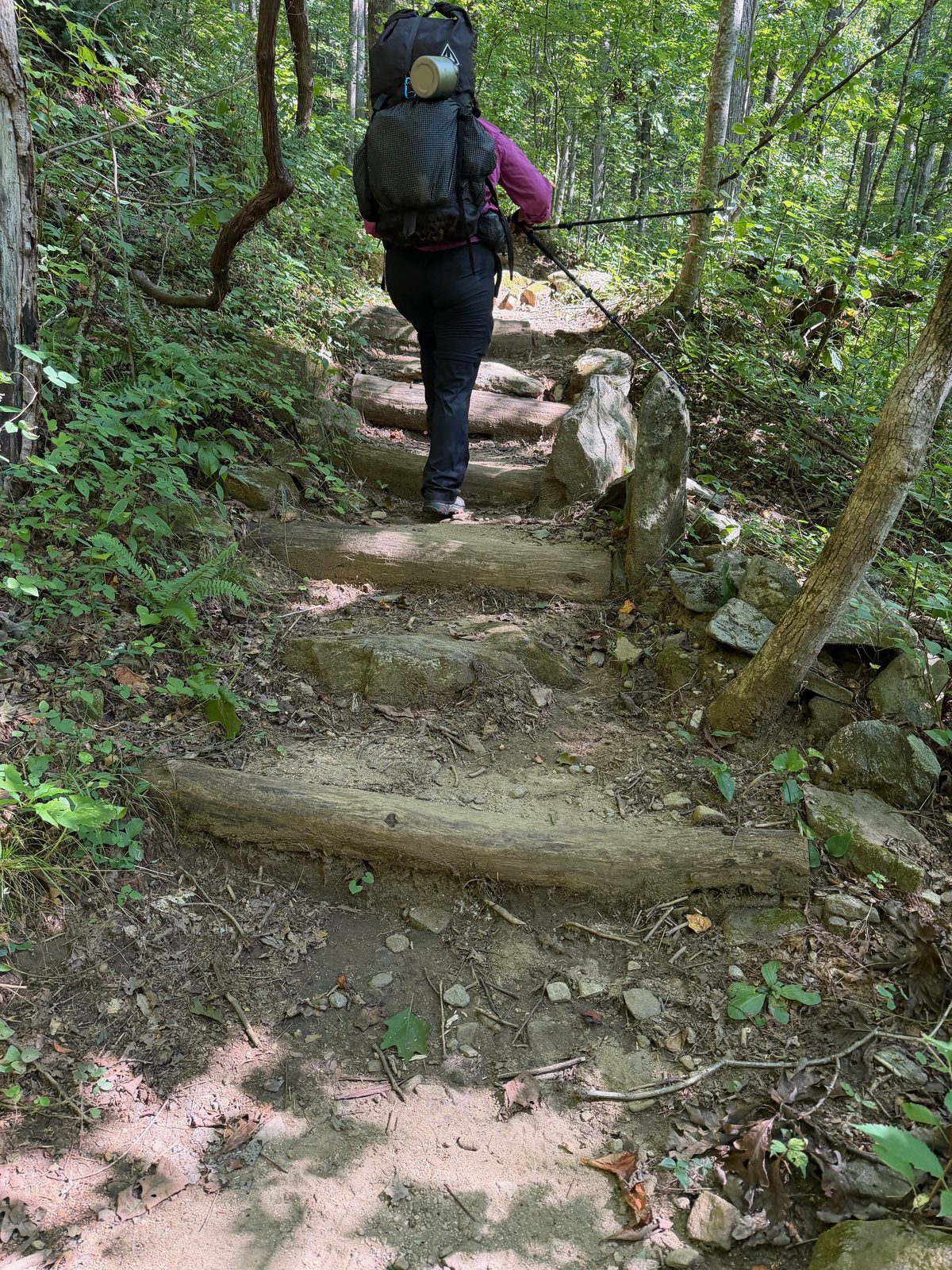 A hiker with a full pack climbing wooden trail steps